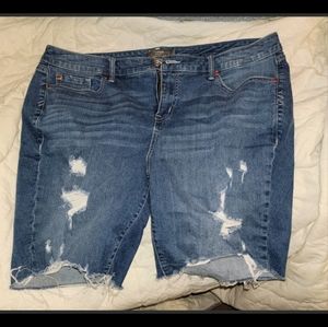 Brumuda shorts torrid size 22